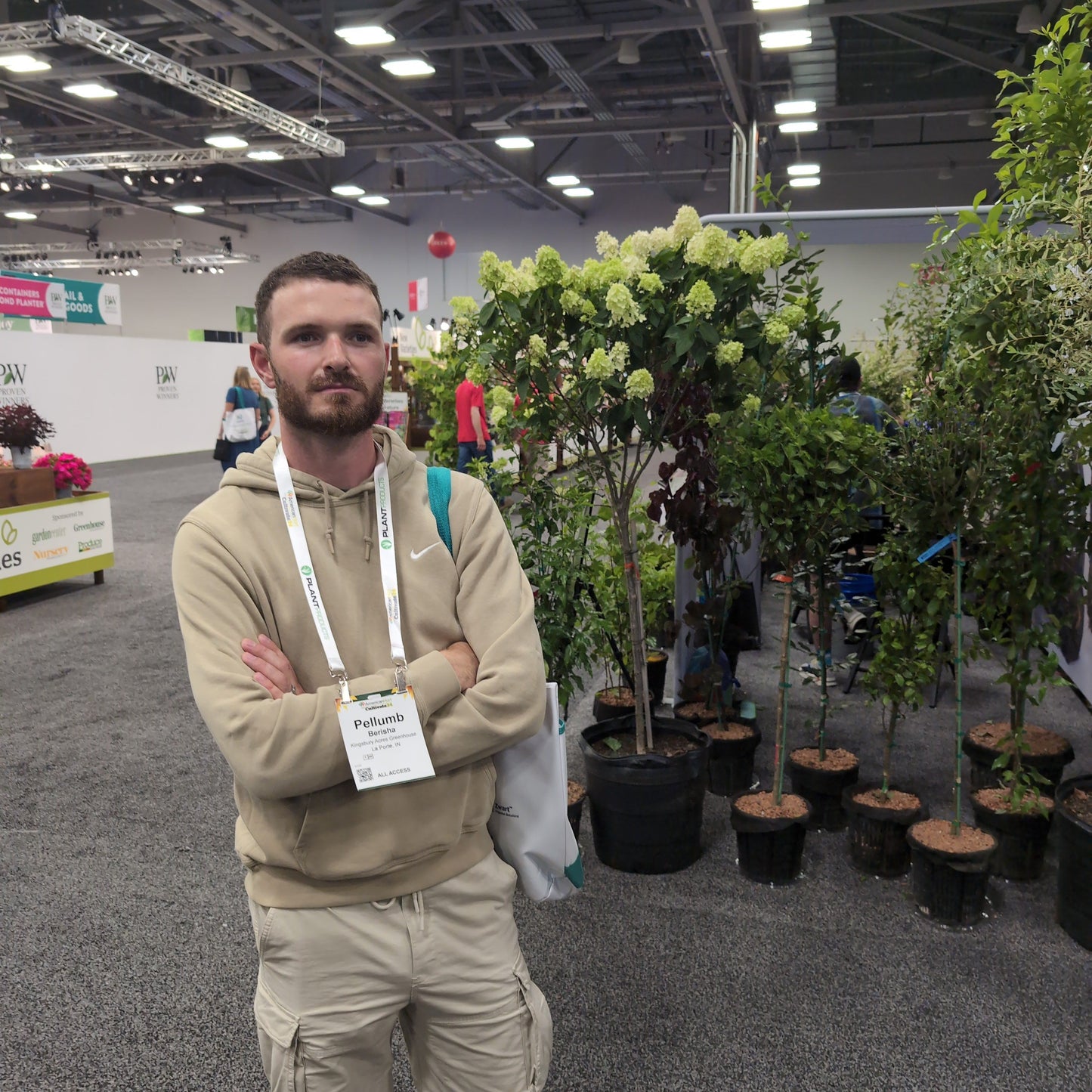 Hydrangea paniculata 'Limelight' - Proven Winners® Limelight® Hydrangea