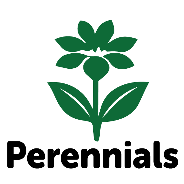 Perennials
