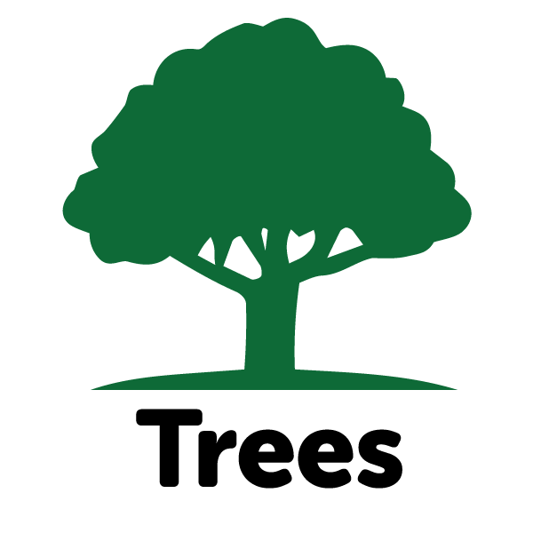 Trees